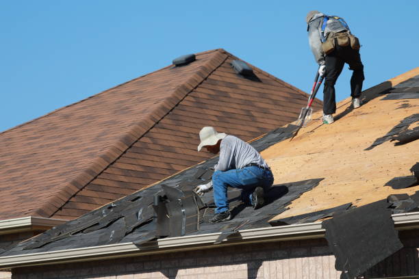Best Metal Roofing Installation  in Farm Loop, AK