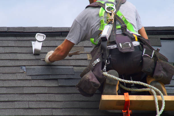Best Solar Panel Roofing Installation  in Farm Loop, AK