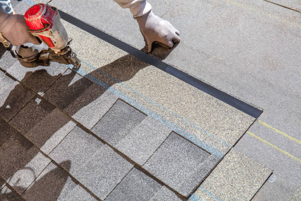 Best Roof Maintenance and Cleaning  in Farm Loop, AK